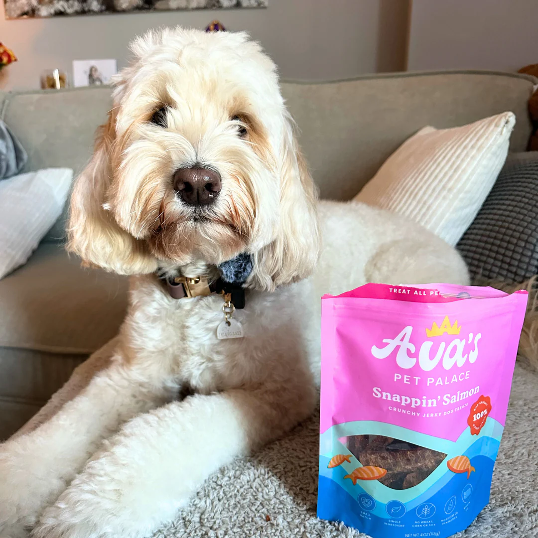 Ava's Pet Palace Crunchy Jerky Dog Treats - Snappin' Salmon Treats (4 oz) - Doot's Pet LLC Collars For A Cause