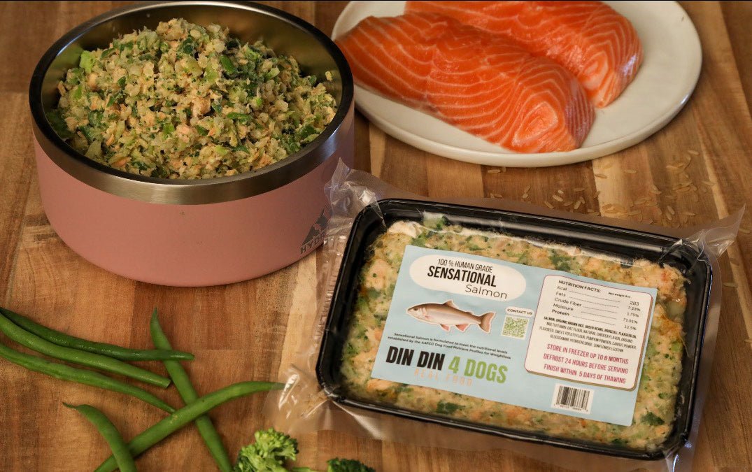 Sensational Salmon - case includes 24, 8oz meals - Doot's Pet LLC Collars For A Cause