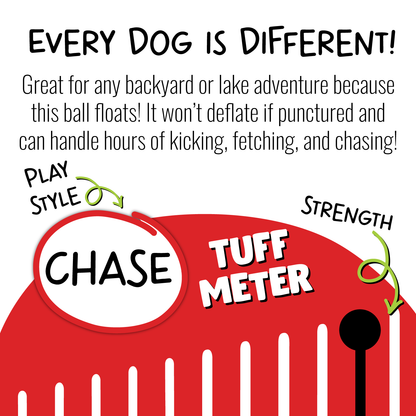 Bounce-n-Play - Doot's Pet LLC Collars For A Cause