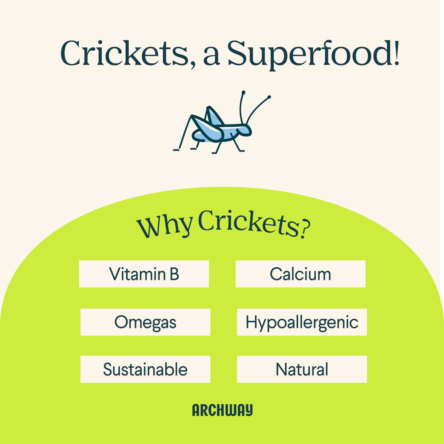 Peanut Butter Cricket Better Biscuit - Doot's Pet LLC Collars For A Cause