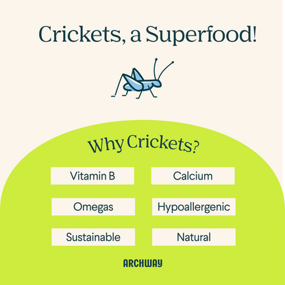 Peanut Butter Cricket Better Biscuit - Doot's Pet LLC Collars For A Cause