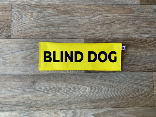 Blind Dog