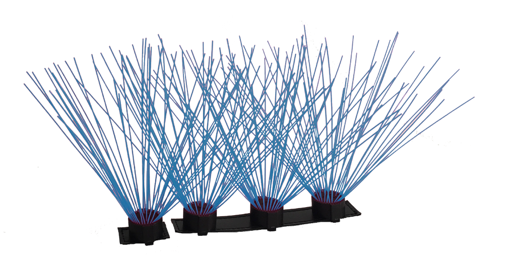 CoyoteWhiskers - Doot's Pet LLC Collars For A Cause