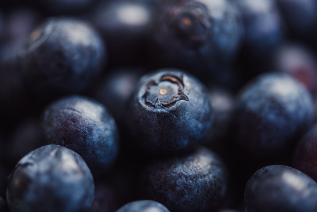 Blueberry Flavored Yak Cheese Chew - Made with REAL BLUEBERRY Puree Single - Doot's Pet LLC Collars For A Cause