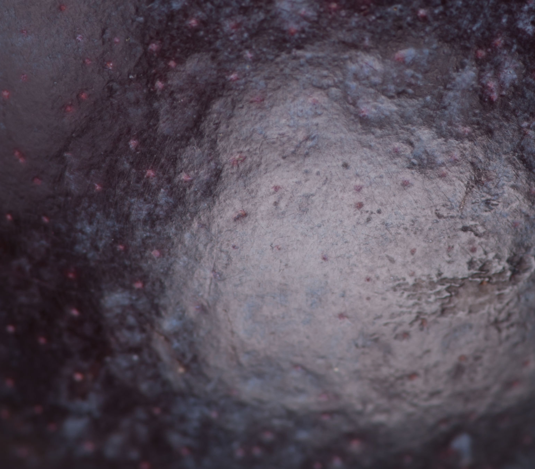 Blueberry Flavored Yak Cheese Chew - Made with REAL BLUEBERRY Puree Single - Doot's Pet LLC Collars For A Cause