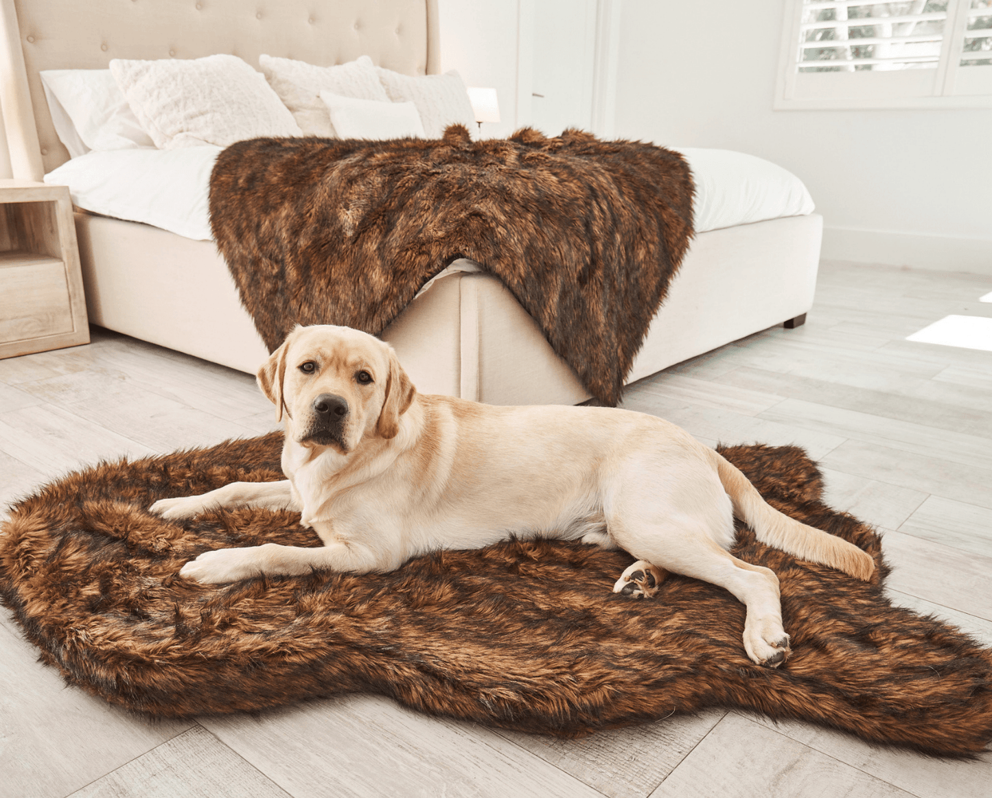 PupRug by Paw.com® Faux Fur Orthopedic Dog Bed - Curve Brown - Doot's Pet LLC Collars For A Cause