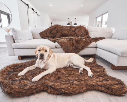 PupRug by Paw.com® Faux Fur Orthopedic Dog Bed - Curve Brown - Doot's Pet LLC Collars For A Cause