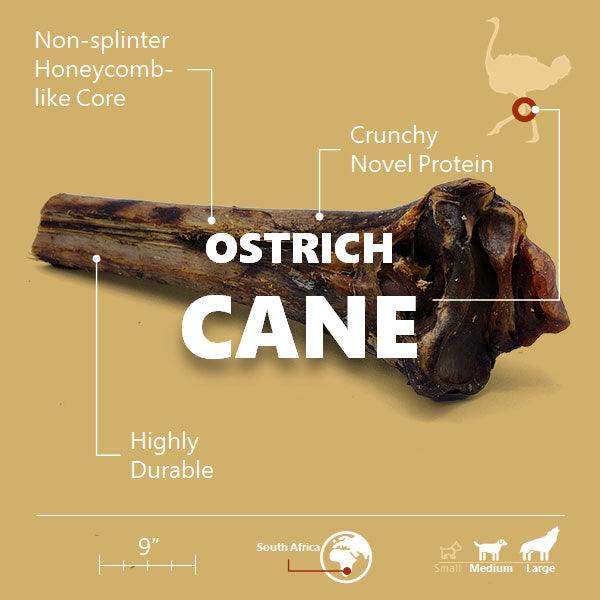 Large Ostrich Cane (11.5" x 5"): The Ultimate Long-Lasting Chew for Medium, Large & XL Dogs - Doot's Pet LLC Collars For A Cause