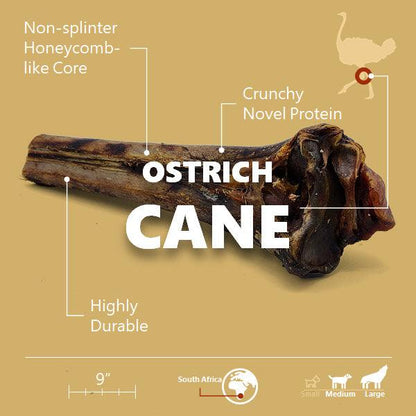 Large Ostrich Cane (11.5" x 5"): The Ultimate Long-Lasting Chew for Medium, Large & XL Dogs - Doot's Pet LLC Collars For A Cause