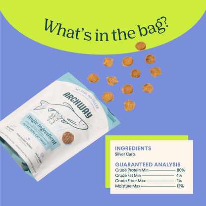 Silver Carp For Cats - Doot's Pet LLC Collars For A Cause