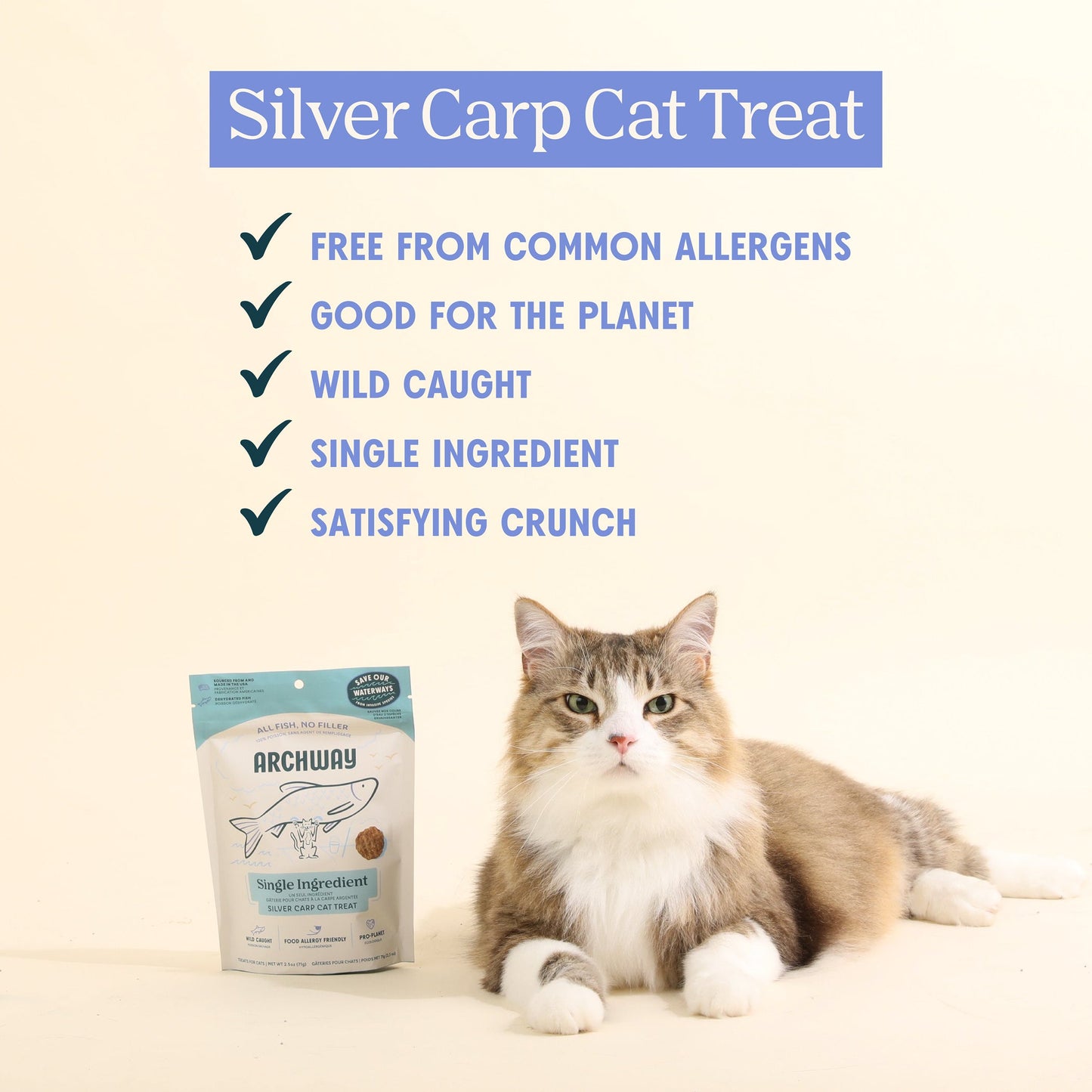 Silver Carp For Cats - Doot's Pet LLC Collars For A Cause