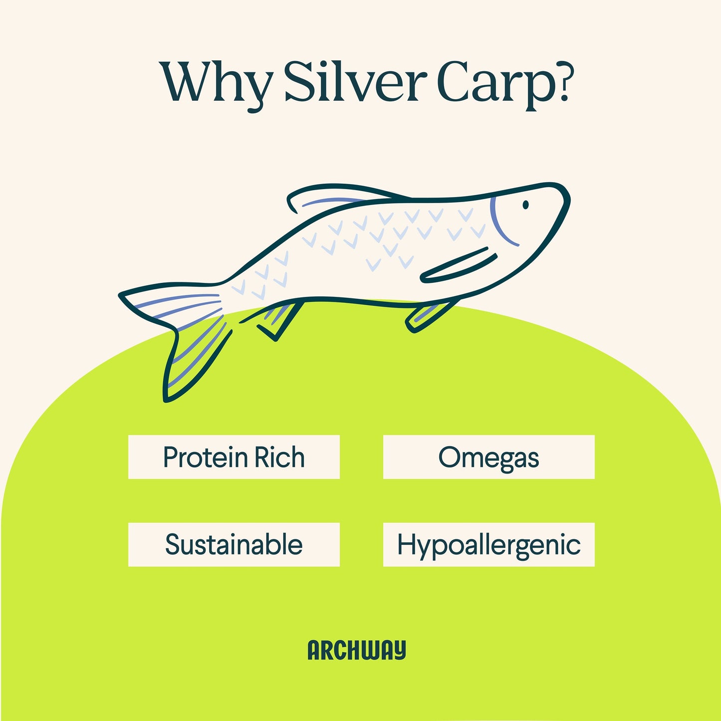 Silver Carp For Dogs - Doot's Pet LLC Collars For A Cause