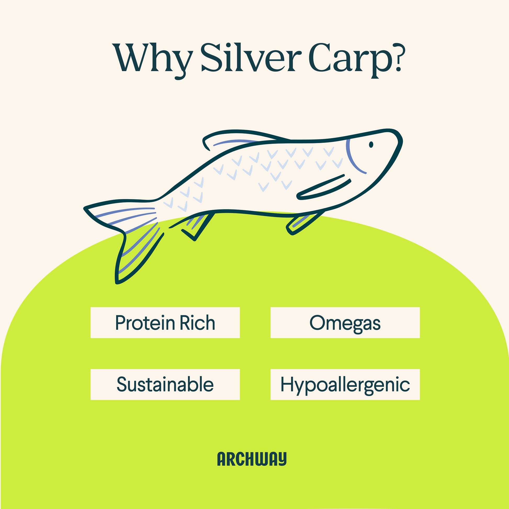 Silver Carp For Dogs - Doot's Pet LLC Collars For A Cause