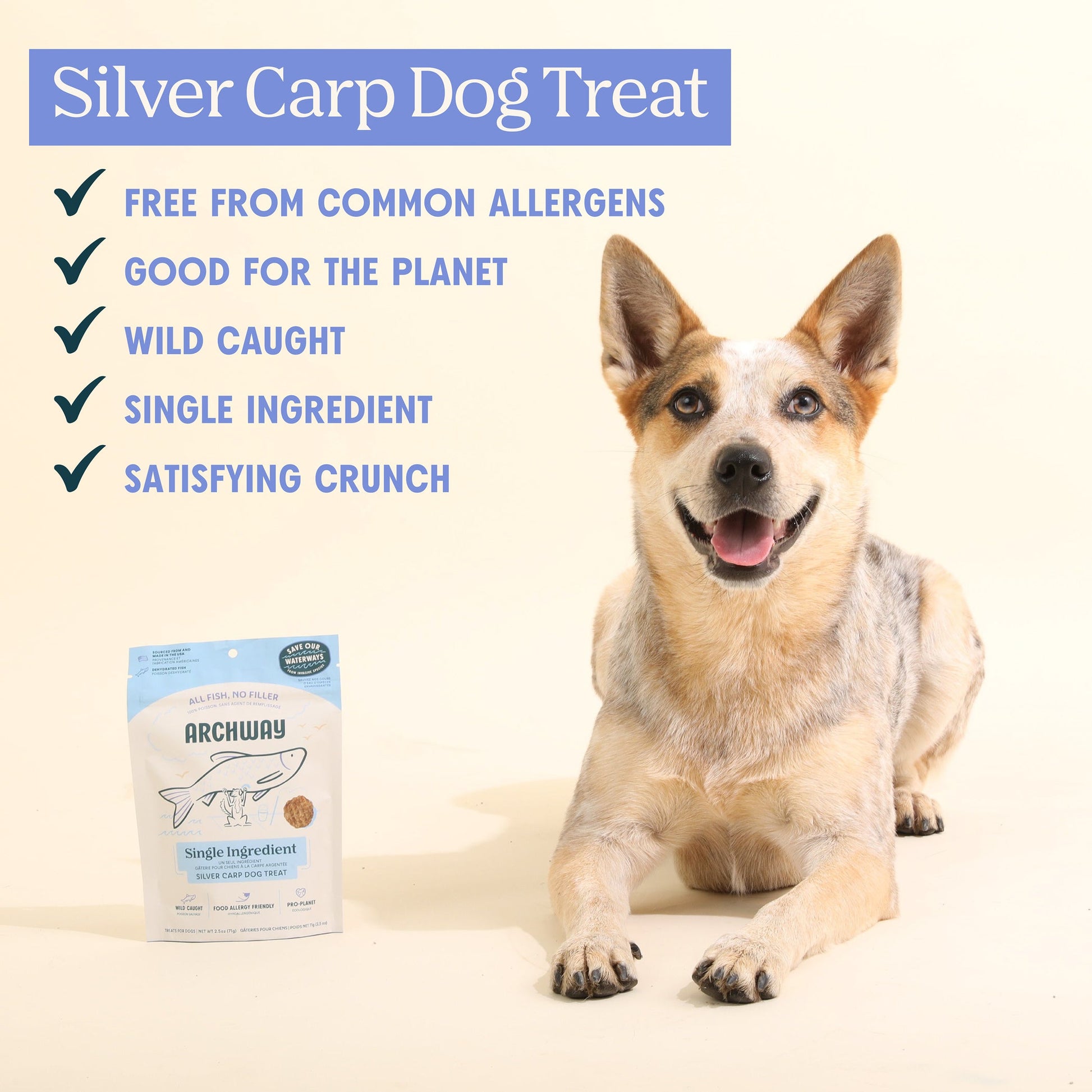 Silver Carp For Dogs - Doot's Pet LLC Collars For A Cause