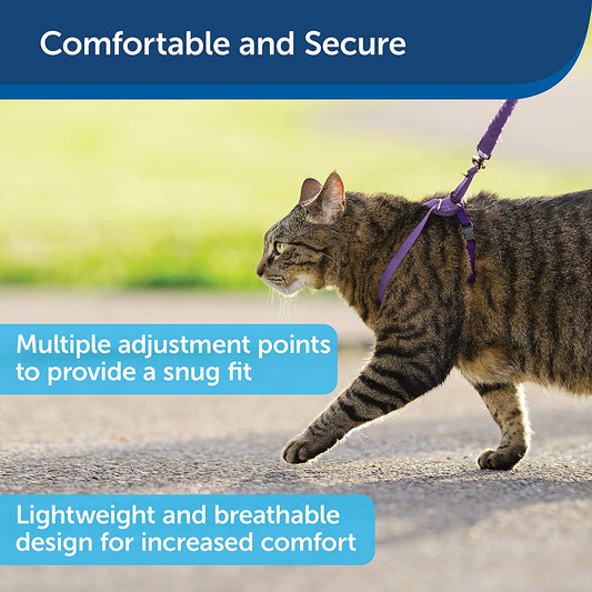 Harness & Bungee Leash for Cats (Lilac/Deep Purple)