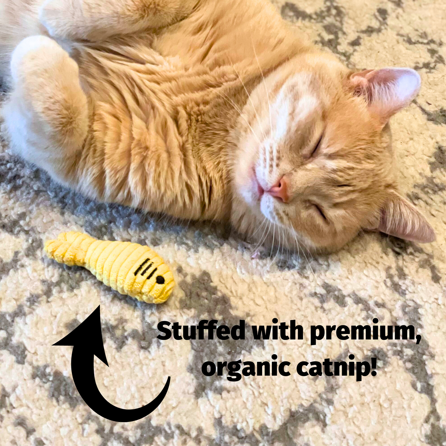 HuggleKats® Wee Chippie and His Acorn Cat Toy Set