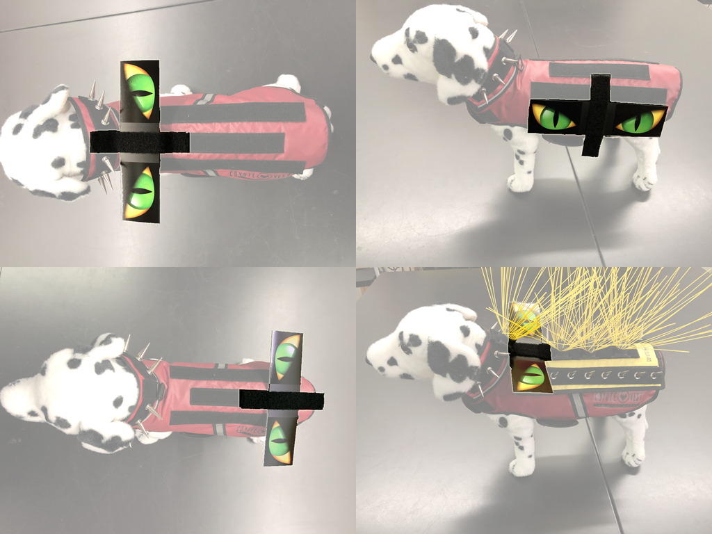 HawkEyes - Doot's Pet LLC Collars For A Cause