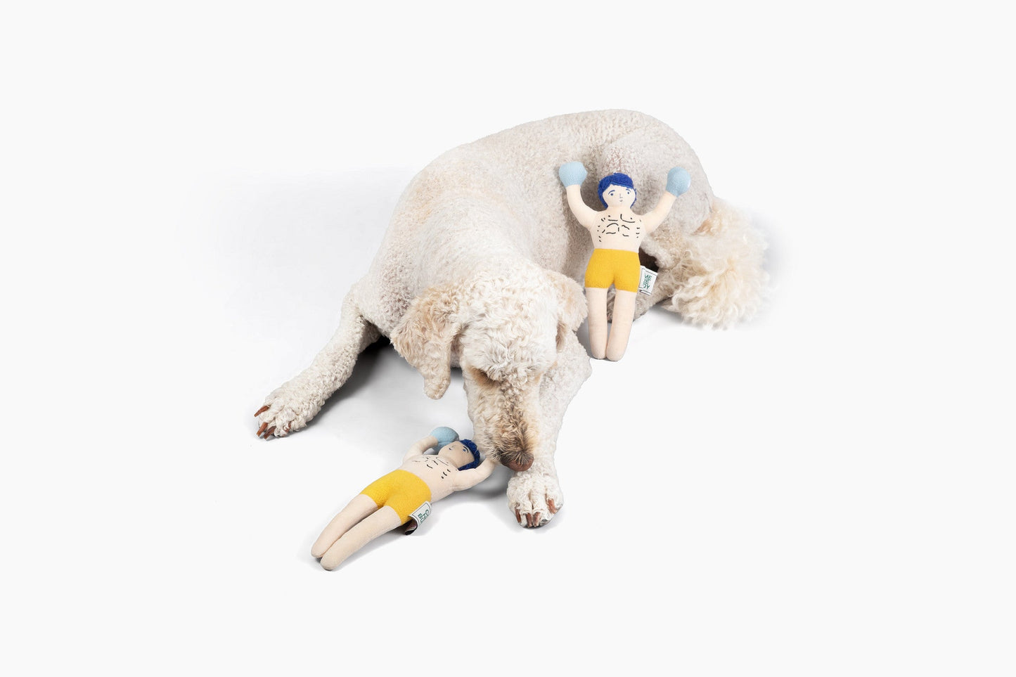 Champ Rocky Nose Work Dog Toy / Enrichment Toy - Doot's Pet LLC Collars For A Cause