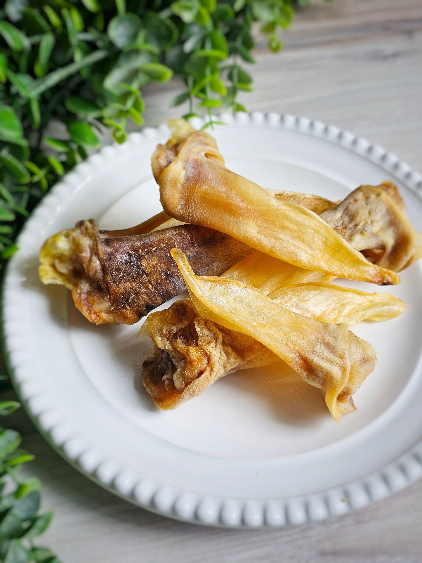 Lamb Ears (Furry & Non Fur) - Doot's Pet LLC Collars For A Cause