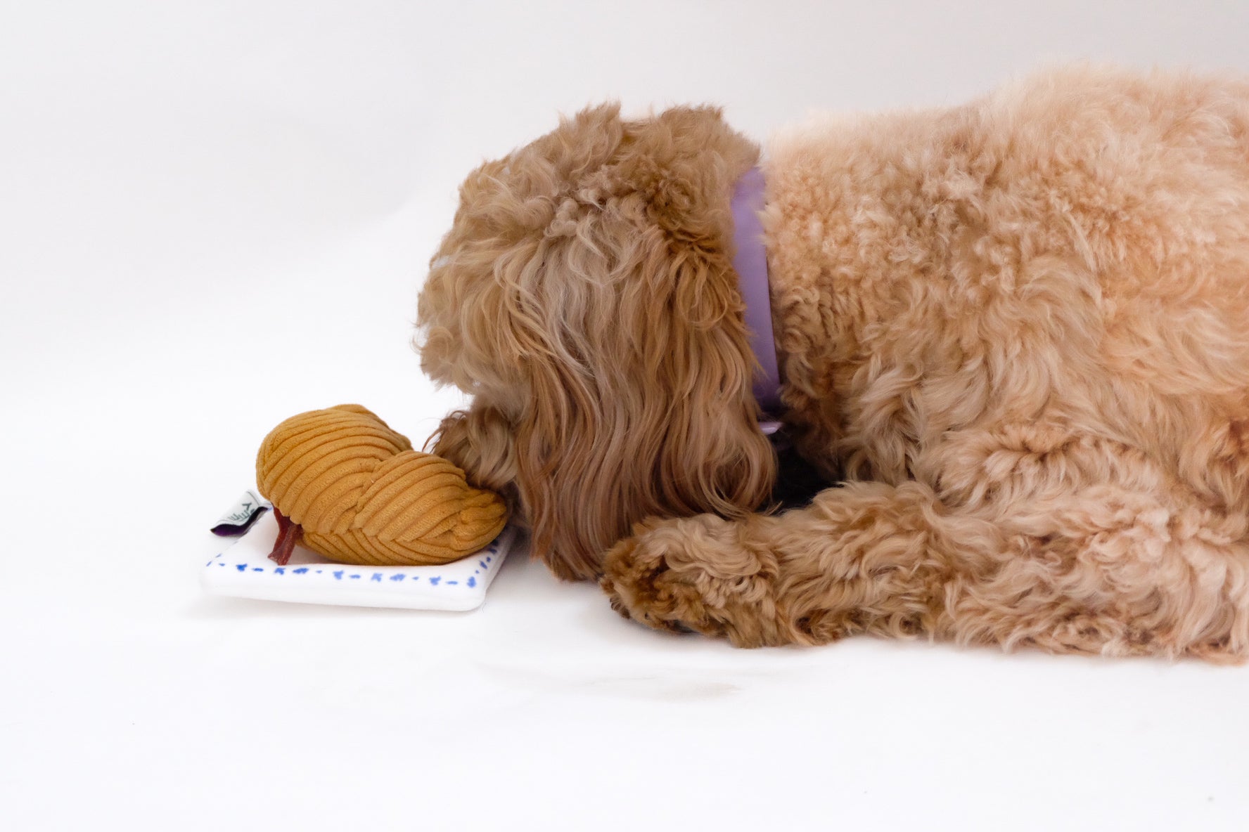 Croissant Nose Work Toy / Enrichment Toy - Doot's Pet LLC Collars For A Cause