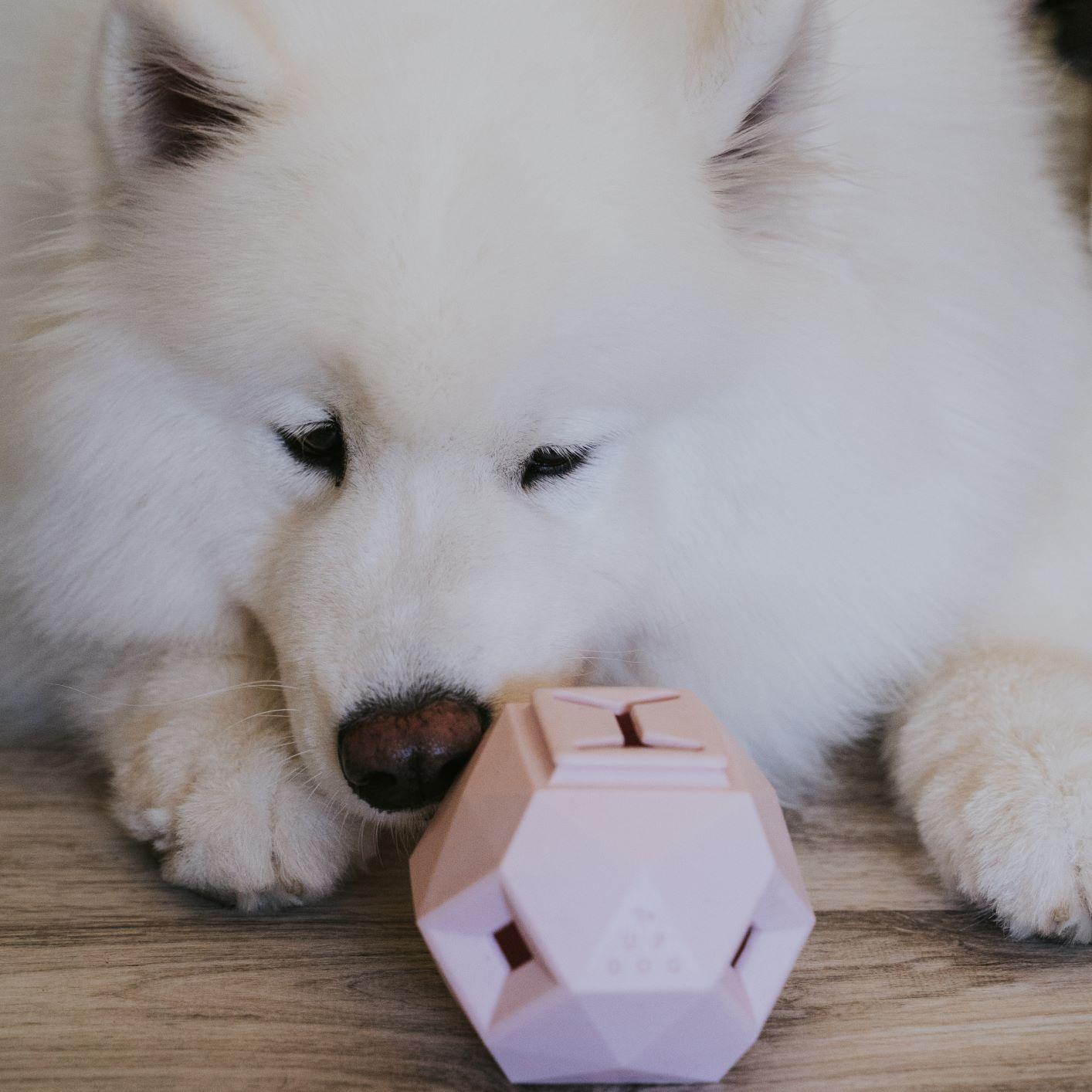The Odin Treat Dispensing Toy For Dogs - Doot's Pet LLC Collars For A Cause