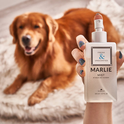 Marlie Mist Pet Odor Eliminator Spray with Essential Oils - Doot's Pet LLC Collars For A Cause