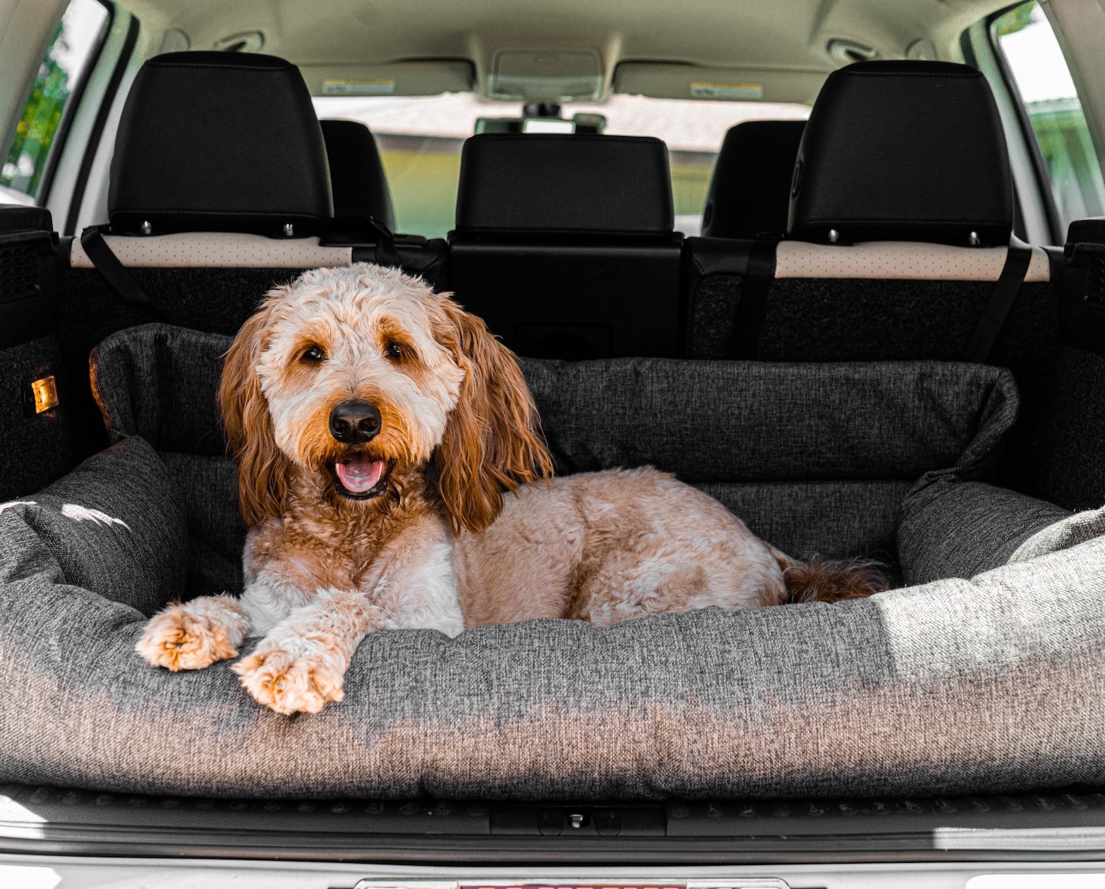 PupProtector™ Memory Foam Dog Car Bed - Doot's Pet LLC Collars For A Cause
