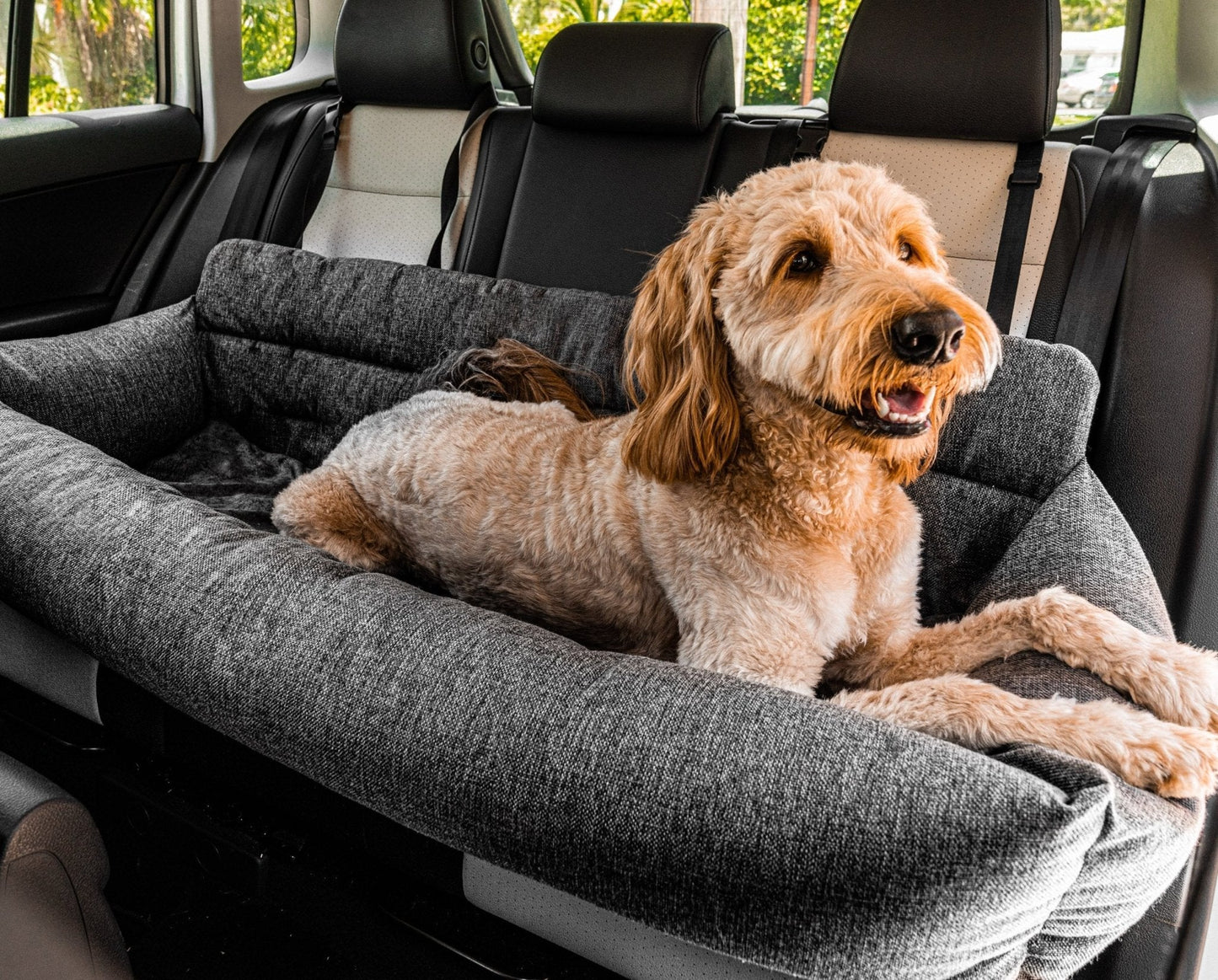 PupProtector™ Memory Foam Dog Car Bed - Doot's Pet LLC Collars For A Cause