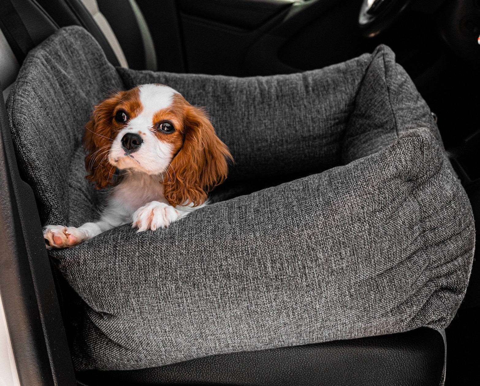 PupProtector™ Memory Foam Dog Car Bed - Doot's Pet LLC Collars For A Cause