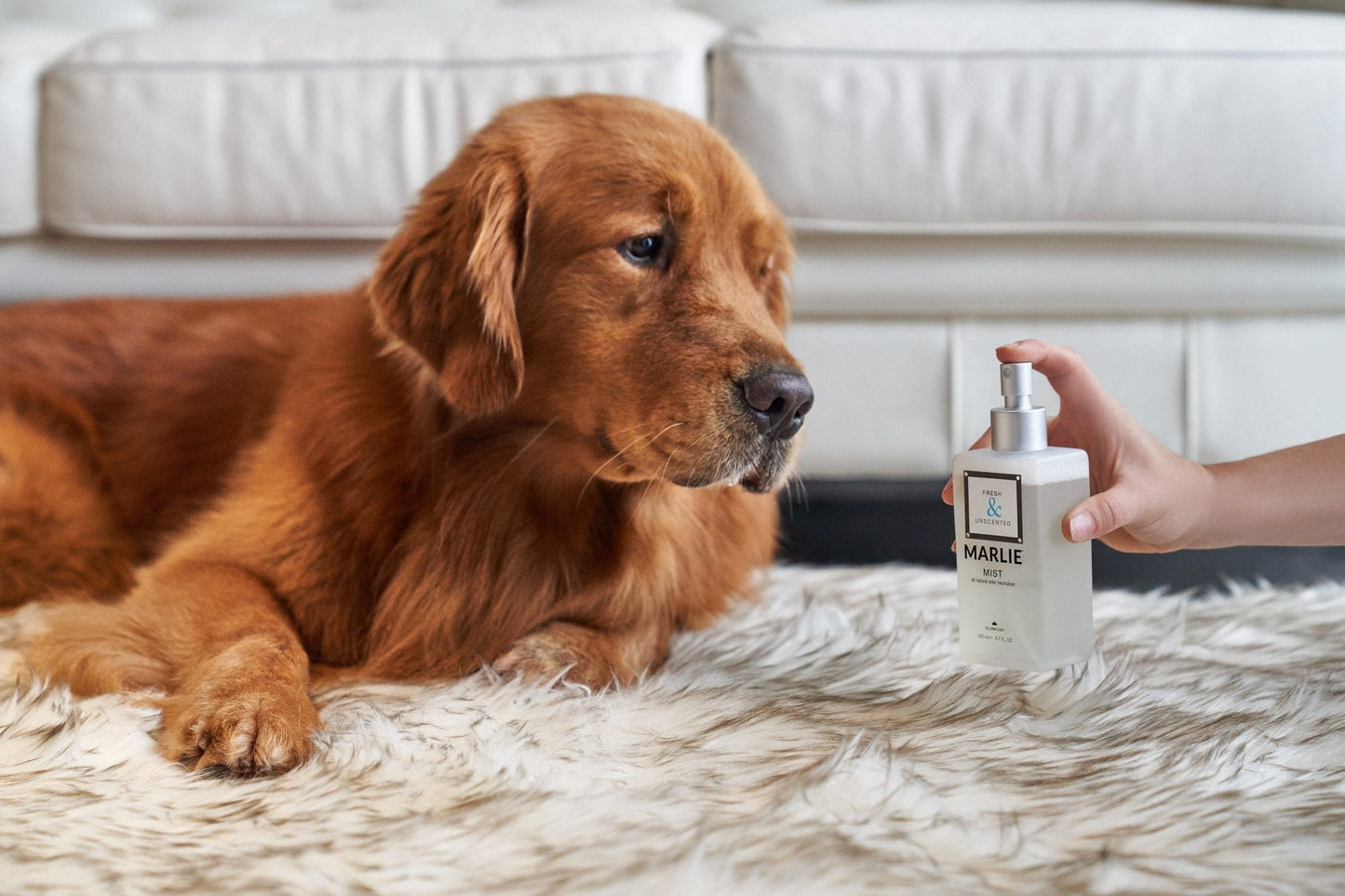 Marlie Mist Pet Odor Eliminator Spray with Essential Oils - Doot's Pet LLC Collars For A Cause