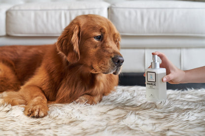 Marlie Mist Pet Odor Eliminator Spray with Essential Oils - Doot's Pet LLC Collars For A Cause