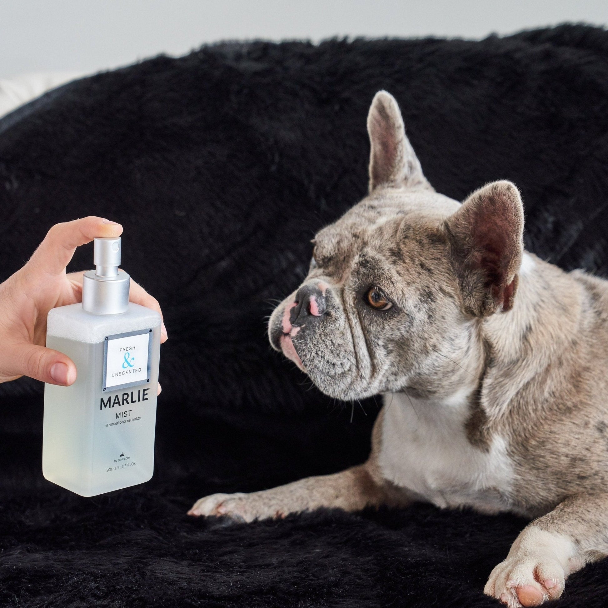 Marlie Mist Pet Odor Eliminator Spray with Essential Oils - Doot's Pet LLC Collars For A Cause