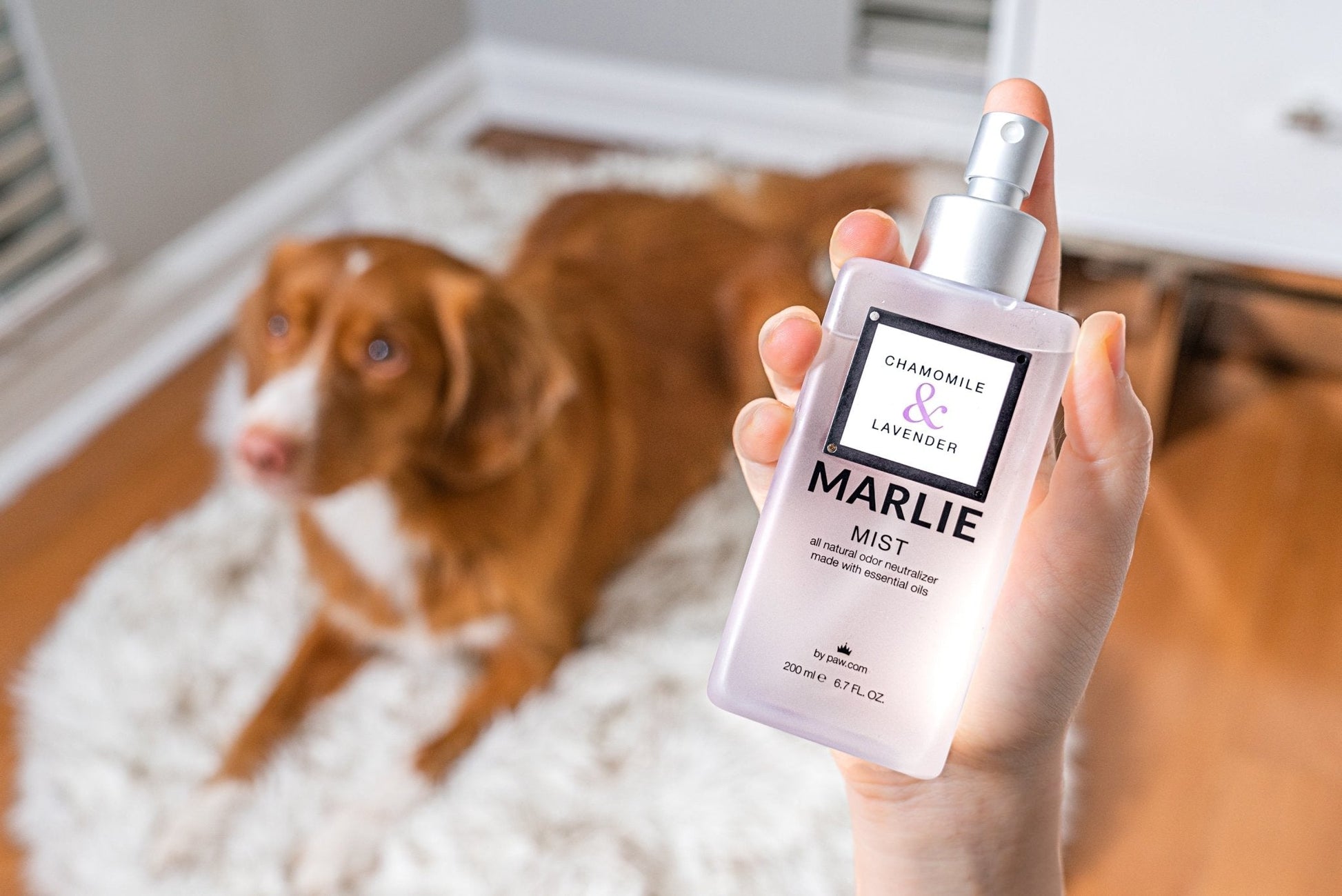 Marlie Mist Pet Odor Eliminator Spray with Essential Oils - Doot's Pet LLC Collars For A Cause