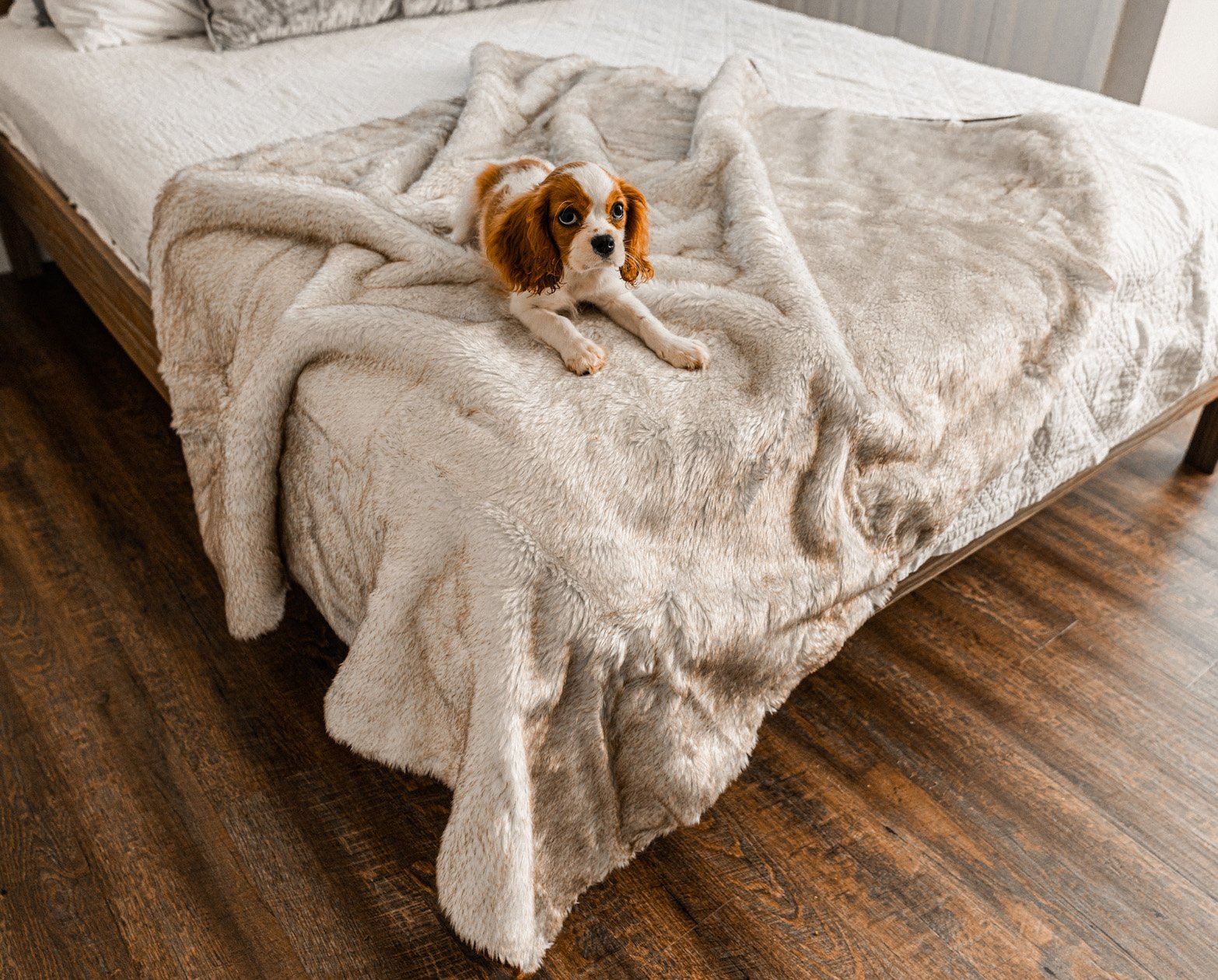 PupProtector™ Short Fur Waterproof Throw Blanket - White with Brown Accents - Doot's Pet LLC Collars For A Cause