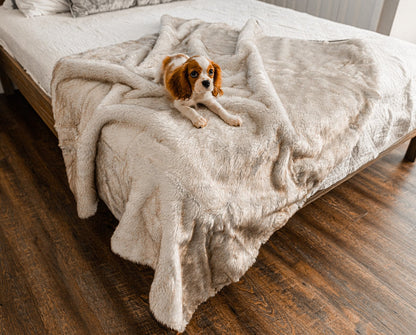 PupProtector™ Short Fur Waterproof Throw Blanket - White with Brown Accents - Doot's Pet LLC Collars For A Cause
