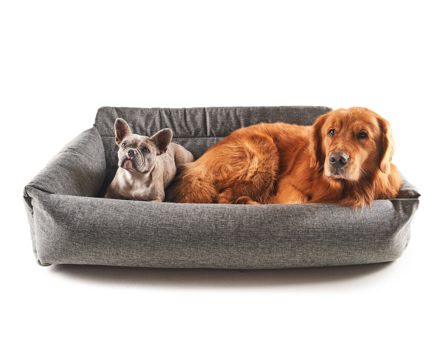 PupProtector™ Memory Foam Dog Car Bed - Doot's Pet LLC Collars For A Cause