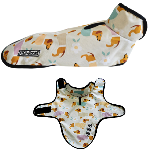 Dachshunds & Daisies Dog Coat - Doot's Pet LLC Collars For A Cause