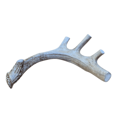 DEER ANTLER DOG CHEWS | ORGANIC CHEW FOR LARGE DOGS