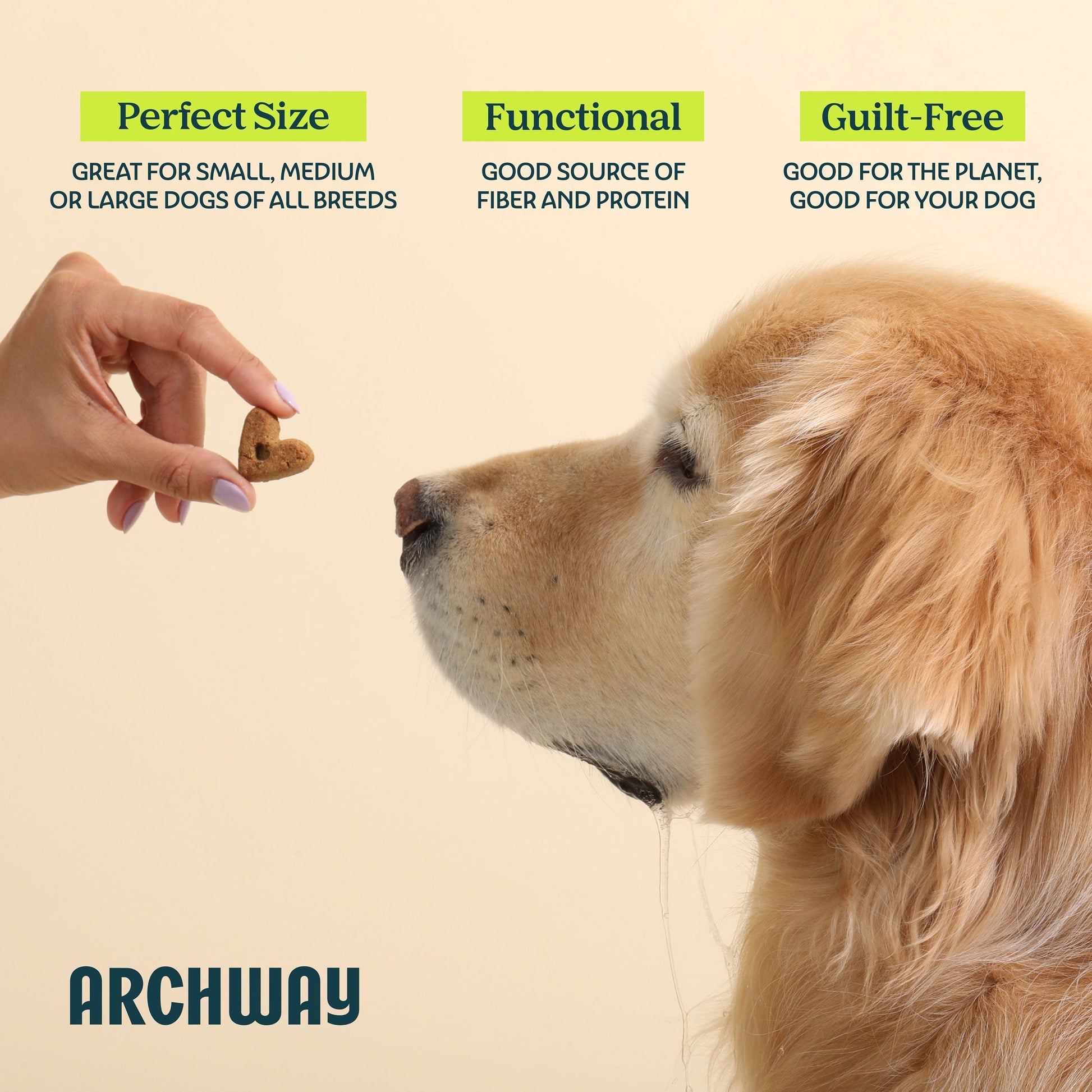 Digestive Health - Doot's Pet LLC Collars For A Cause