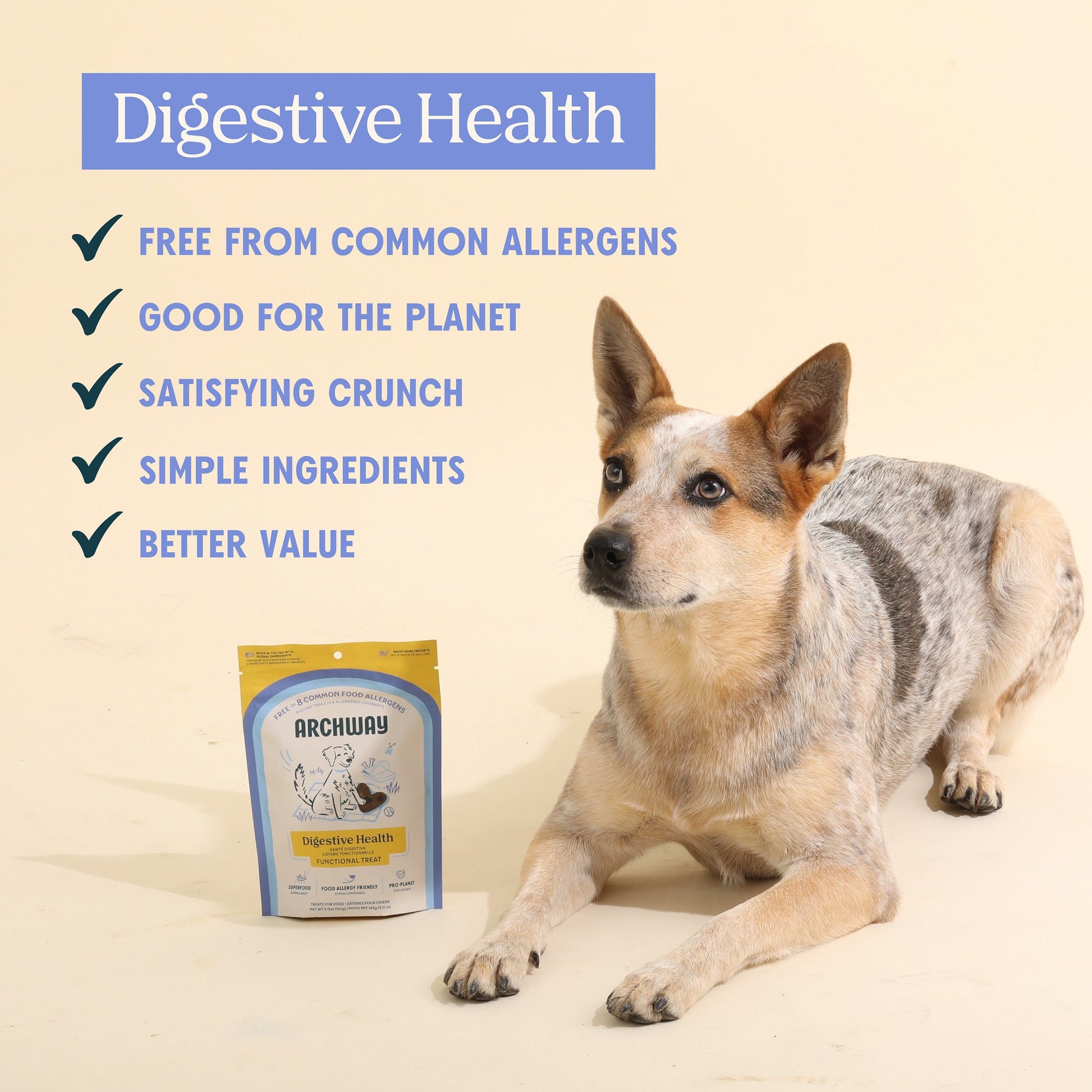 Digestive Health - Doot's Pet LLC Collars For A Cause