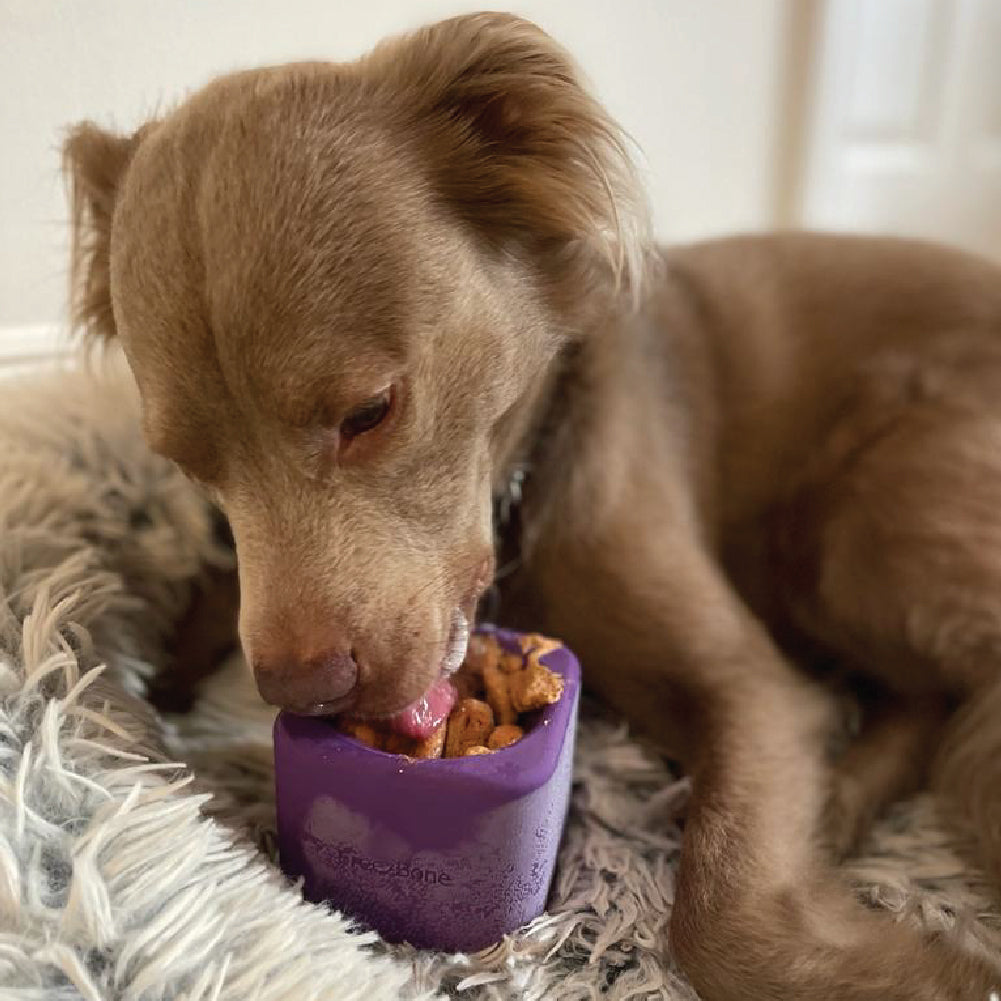 Freezbox - Super Tough Treat Toy - Doot's Pet LLC Collars For A Cause