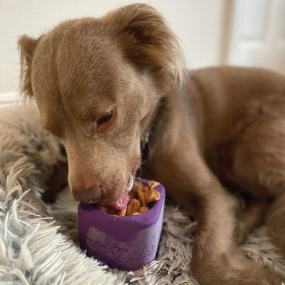 Freezbox - Super Tough Treat Toy - Doot's Pet LLC Collars For A Cause