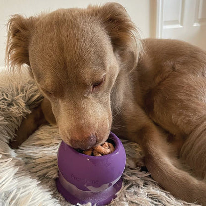 Freezball - Durable Fillable Dog Chew Bone - Doot's Pet LLC Collars For A Cause