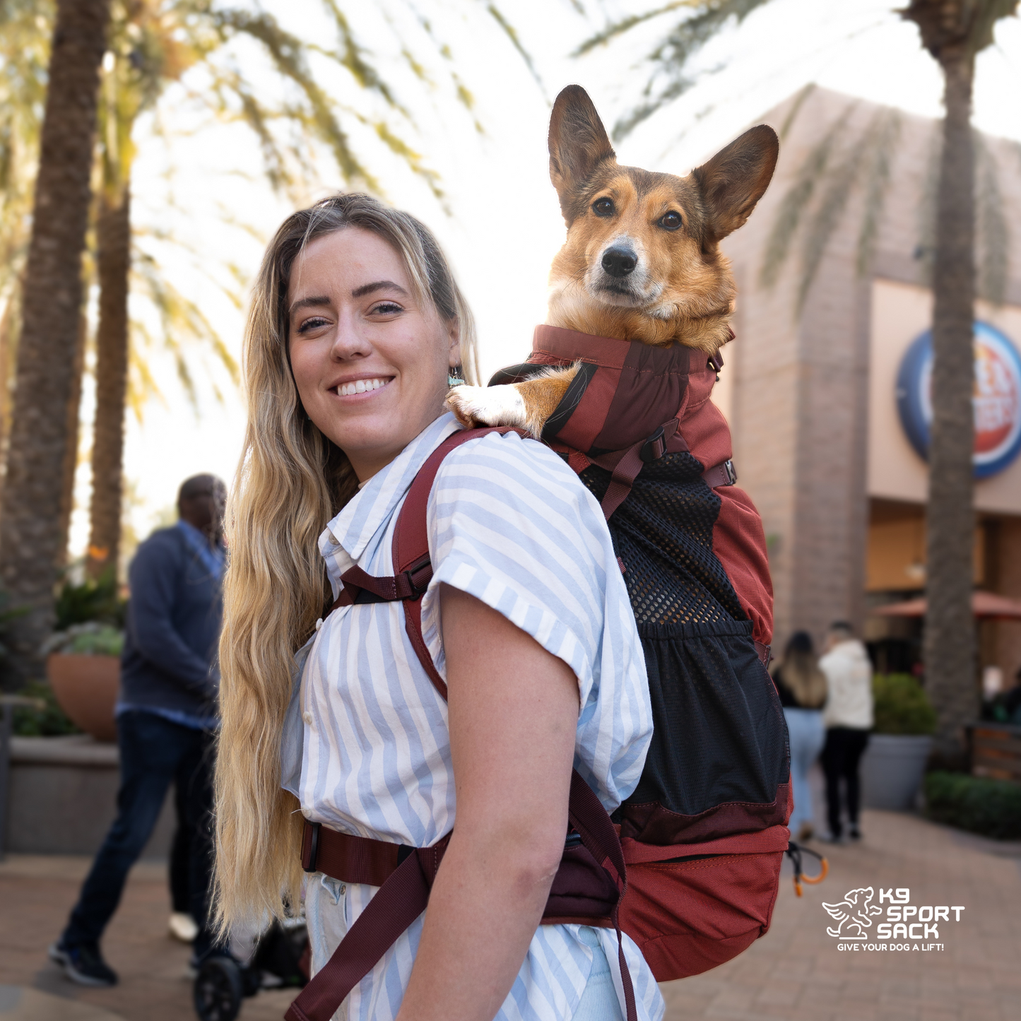 Knavigate | Advanced Dog Carrier with Internal Frame & Hip Belt