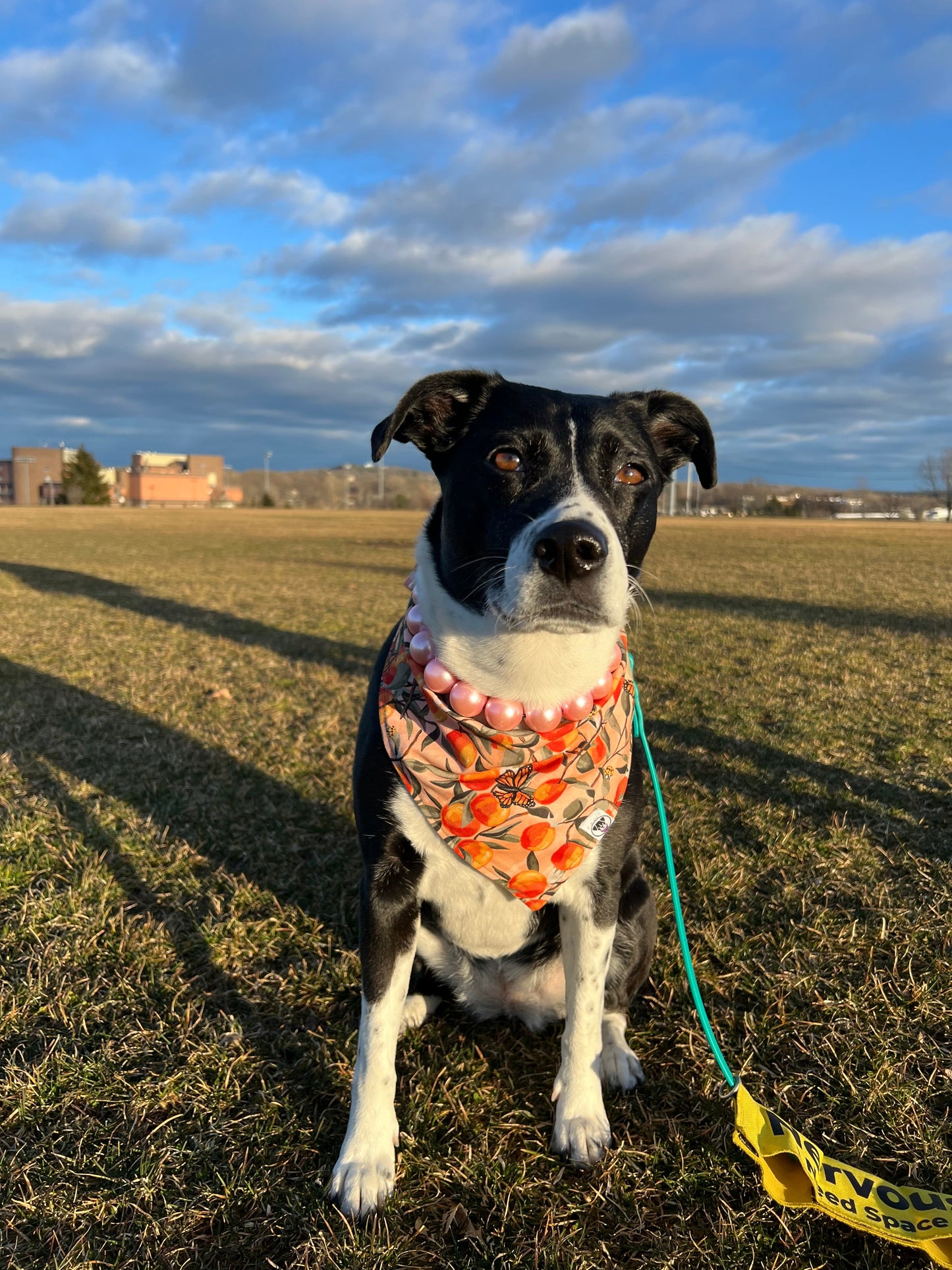 Peaches Bandana