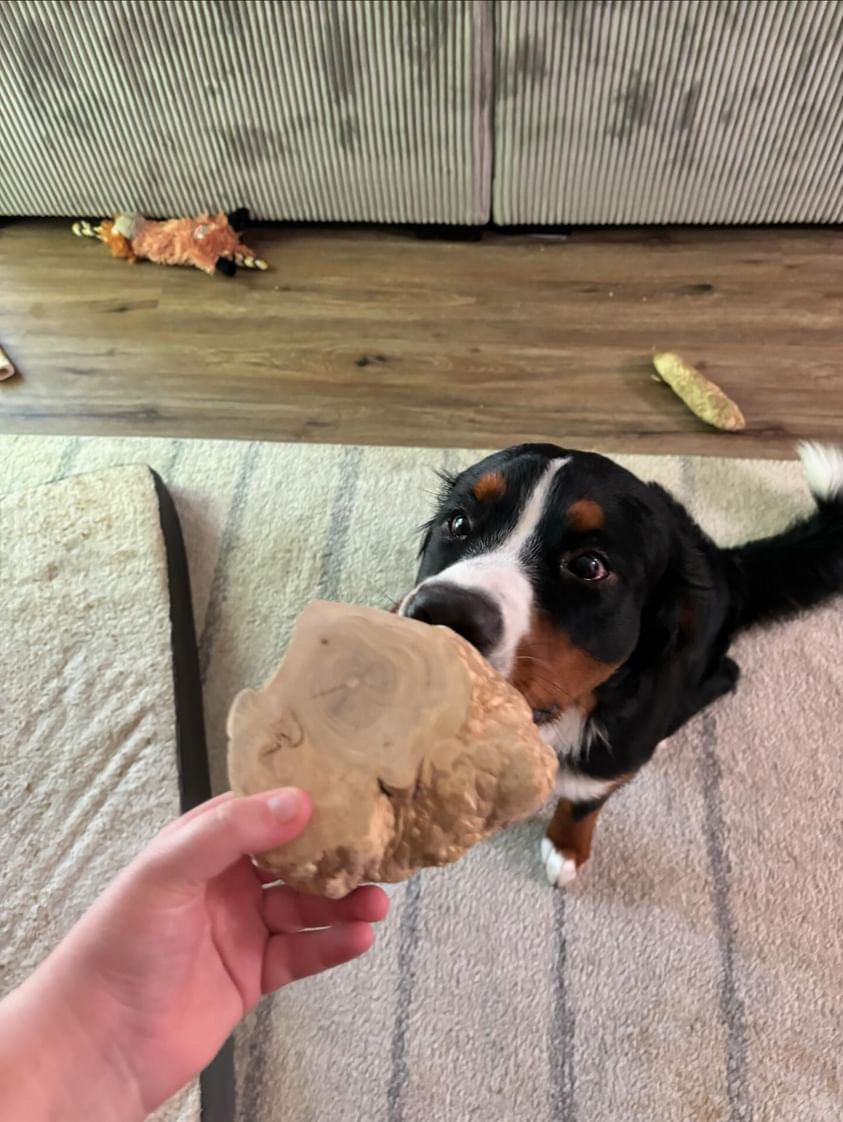 Root Chew