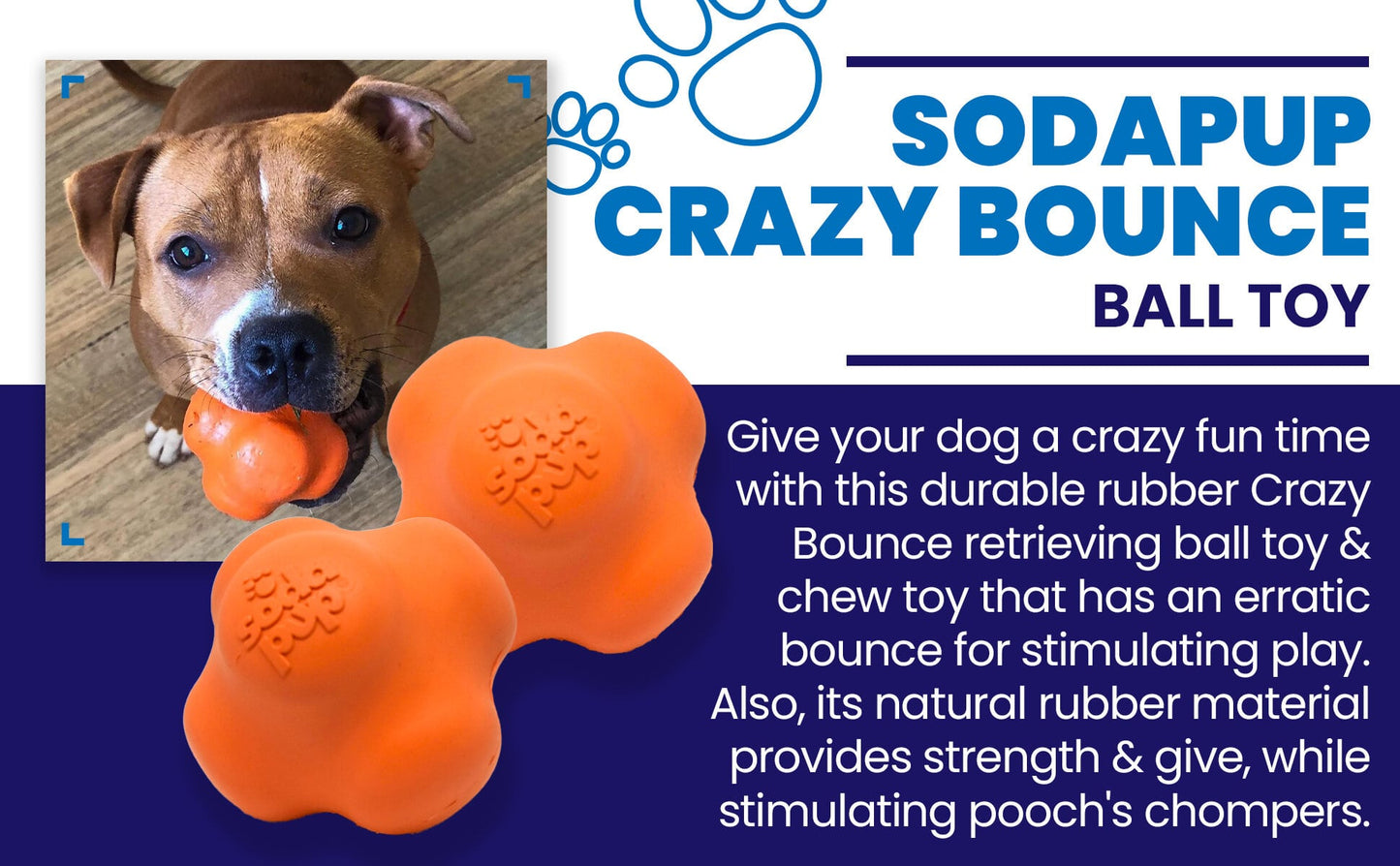 Crazy Bounce Ultra Durable Rubber Chew & Retrieving Toy - Doot's Pet LLC Collars For A Cause