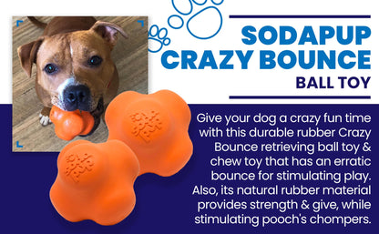 Crazy Bounce Ultra Durable Rubber Chew & Retrieving Toy - Doot's Pet LLC Collars For A Cause