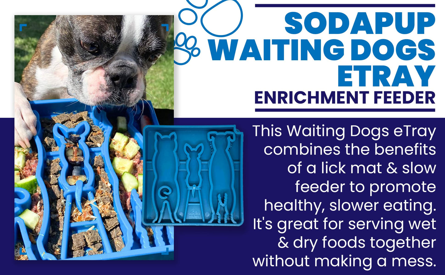 Waiting Dogs eTray - Shallow Slow Feeder Bowl for Enrichment | USA Made - Doot's Pet LLC Collars For A Cause