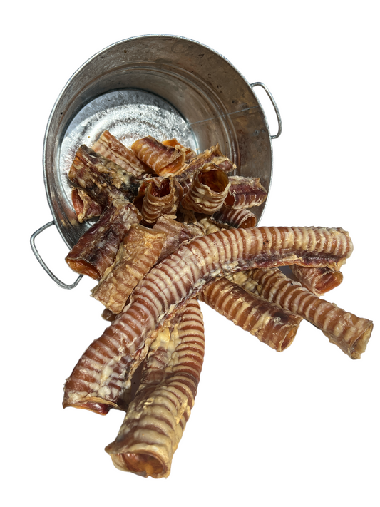 Beef Trachea
